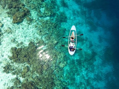 Kehidupan Bawah Laut: Menjaga Terumbu Karang Indonesia