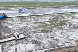 Tanam Padi Serentak Di Ogan Ilir: Menuju Swasembada Pangan