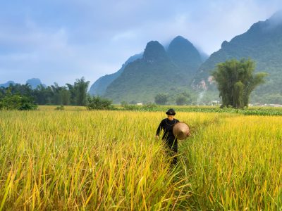 Harga Beras Naik: Pedagang Mengeluhkan Penurunan Pembeli