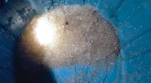 Hujan Jelly Di Gorontalo Hebohkan Warga: BMKG Angkat Suara