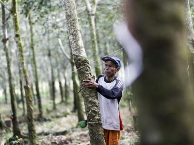 Sumatra Selatan Dorong Petani Karet Gunakan Teknologi