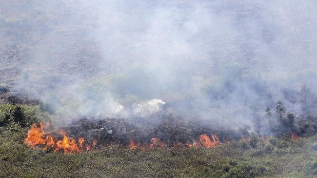 Kebakaran Lahan Gambut Seluas 1 Hektare Di Palangka Raya