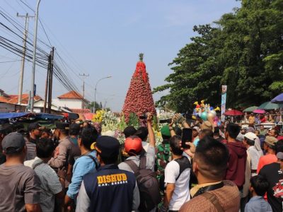 Tradisi Unik Brebes Warnai Festival Bawang Merah