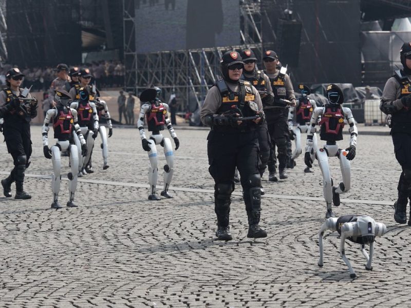 Robot Polis