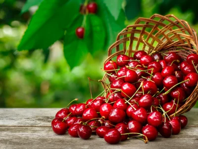 Buah Ceri,