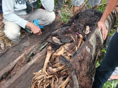Kerangka Misterius
