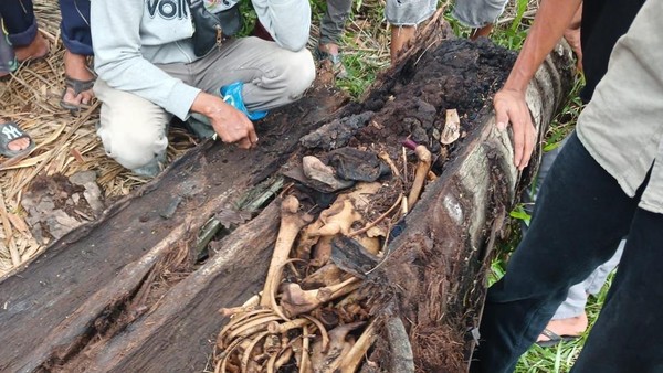 Kerangka Misterius