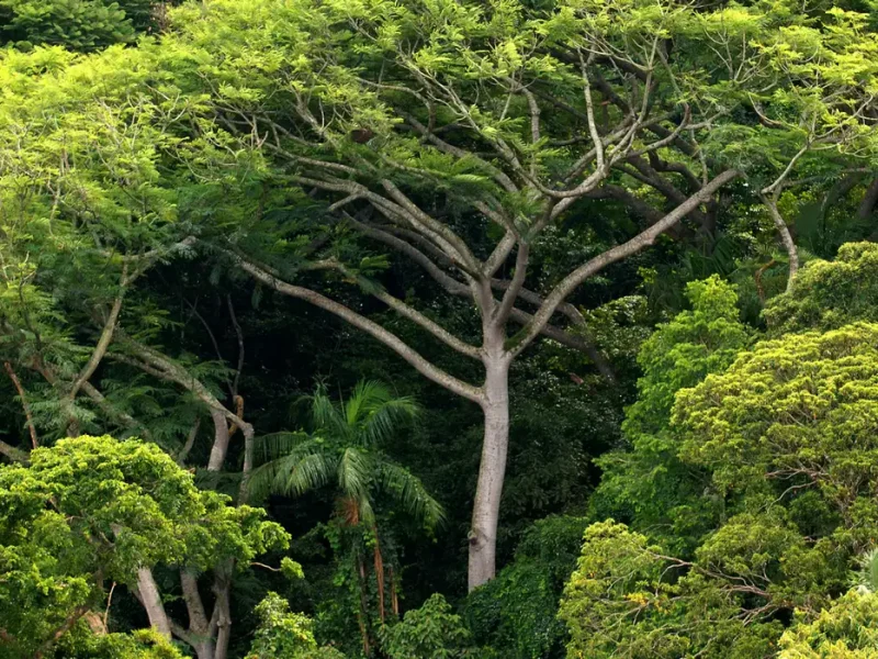 Batal Di Regulasi: Mundurkah Eropa Lawan Greenwashing?