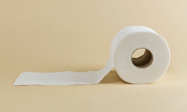 Benarkah Tisu Bambu Ramah Lingkungan? Cek Faktanya!