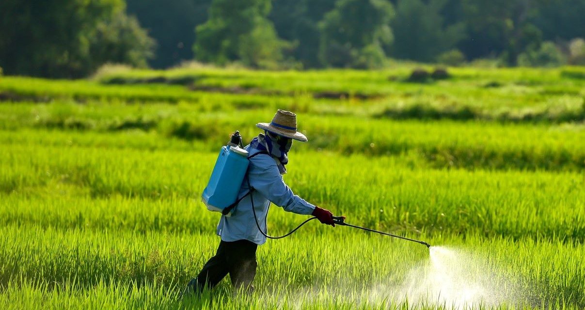 Tanah Kita Sekarat: Efek Ngeri Pestisida Berlebih!