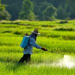 Tanah Kita Sekarat: Efek Ngeri Pestisida Berlebih!