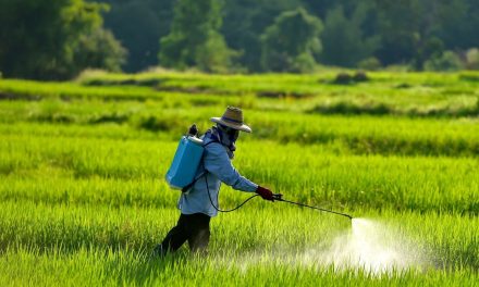 Tanah Kita Sekarat: Efek Ngeri Pestisida Berlebih!