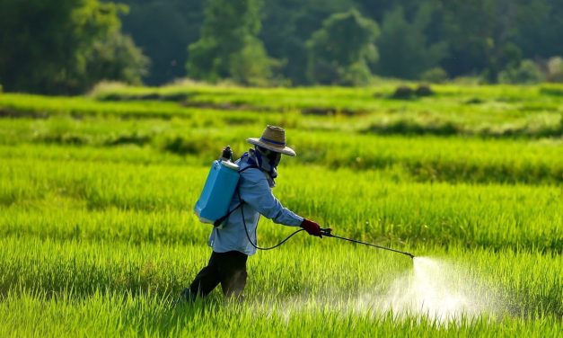 Tanah Kita Sekarat: Efek Ngeri Pestisida Berlebih!