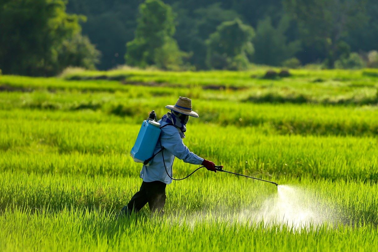 Tanah Kita Sekarat: Efek Ngeri Pestisida Berlebih!