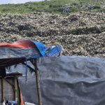 Kenali Limbah Residu, ‘Dosa’ Di Balik Lembaran Tisu