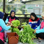 Pertamina Patra Niaga: Sampah Jadi Energi Ekonomi!