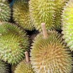 Eksotis Banget! Ini Varietas Durian Unik Asli Bumi Nusantara