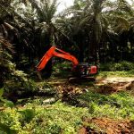 Efek Nyata Penerapan Sistem Zero Burning