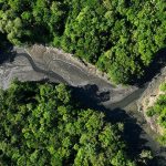 Deforestasi Amazon: Hutan Hujan Kian Kering!