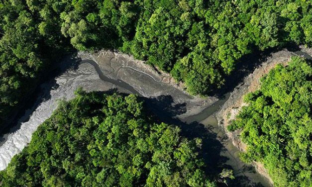 Deforestasi Amazon: Hutan Hujan Kian Kering!