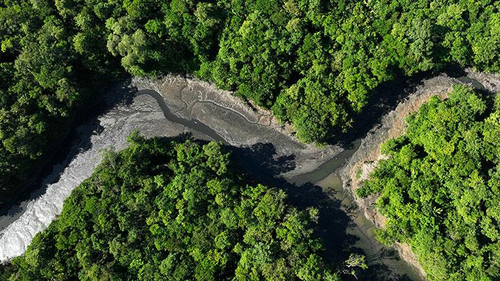 Deforestasi Amazon: Hutan Hujan Kian Kering!