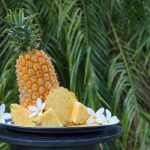 Kuliner Prabumulih Mana Yang Wajib Kamu Coba?