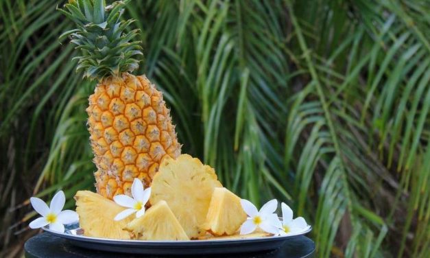 Kuliner Prabumulih Mana Yang Wajib Kamu Coba?